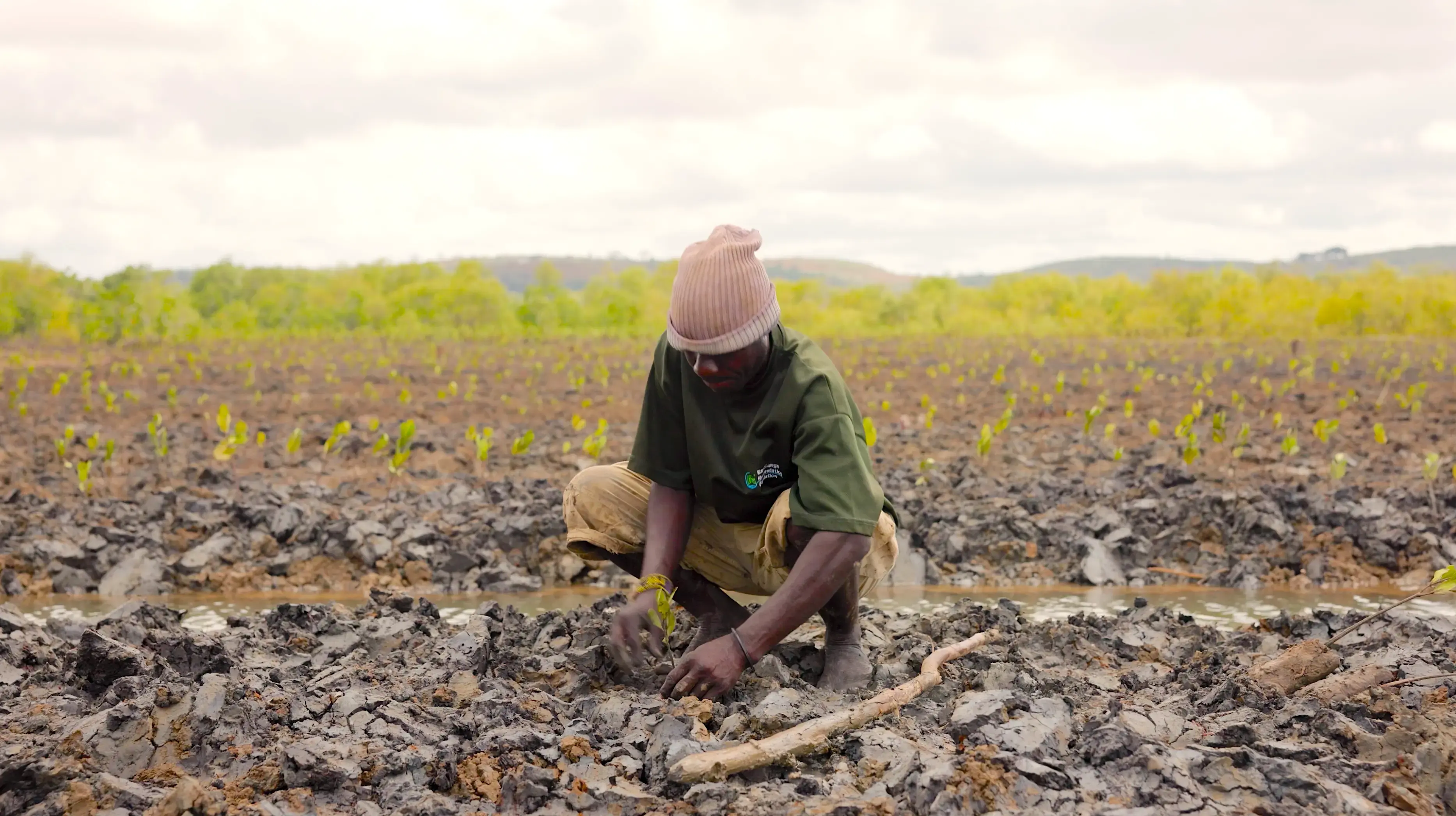 Image of a person planting CarltonOne's 20 millionth tree